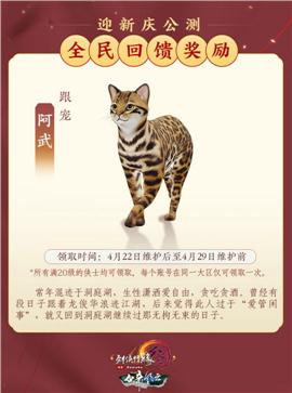 纵横乾坤天龙八部私服